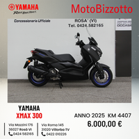 Yamaha X-MAX 300